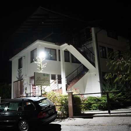 Hotel Passiflora Voineasa Exterior foto